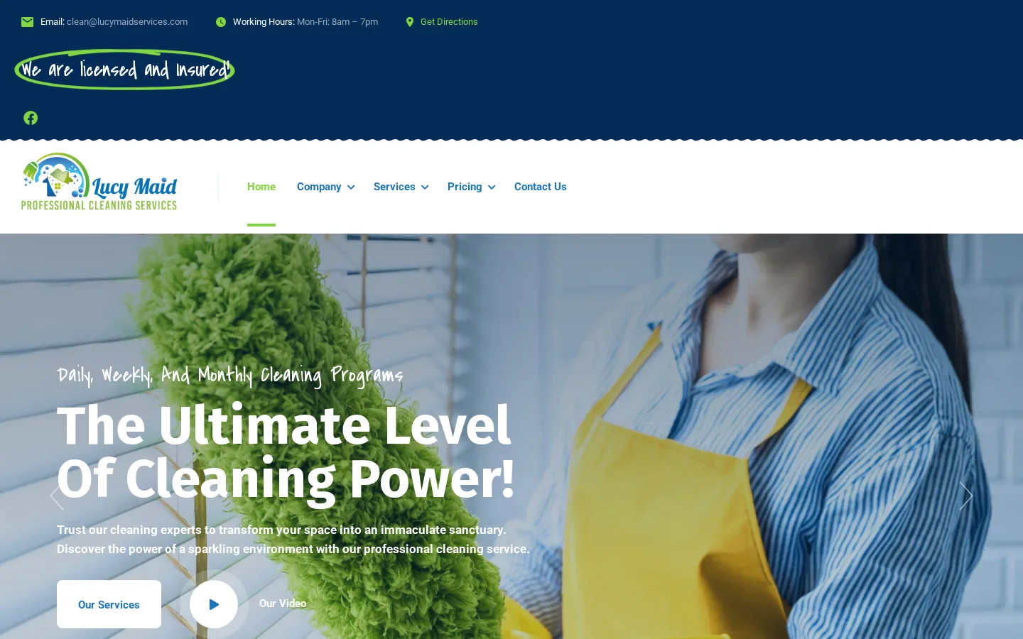 Lucy Maid Cleaning Services before the redesign
